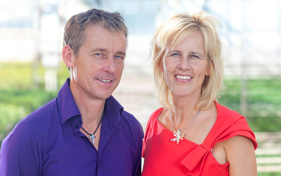 Montana Prairie gentian